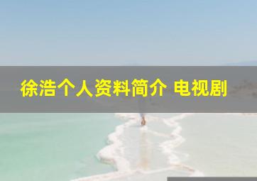 徐浩个人资料简介 电视剧